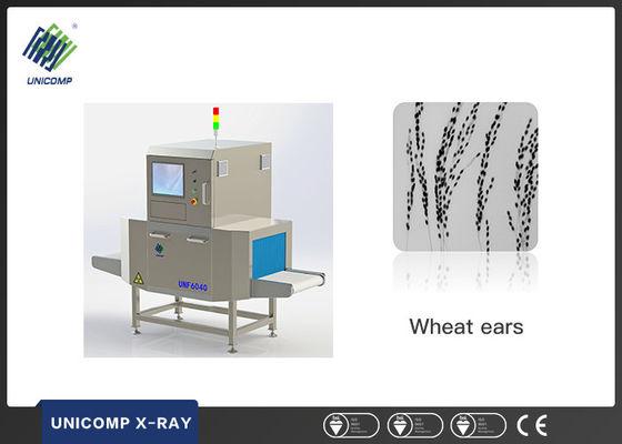 การวิเคราะห์เรื่องต่างประเทศโดยรองเท้า, รองเท้า X-ray ระบบการตรวจสอบเรื่องต่างประเทศ